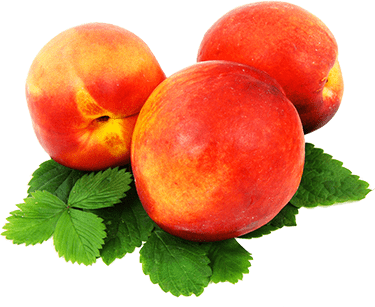 Fruit img