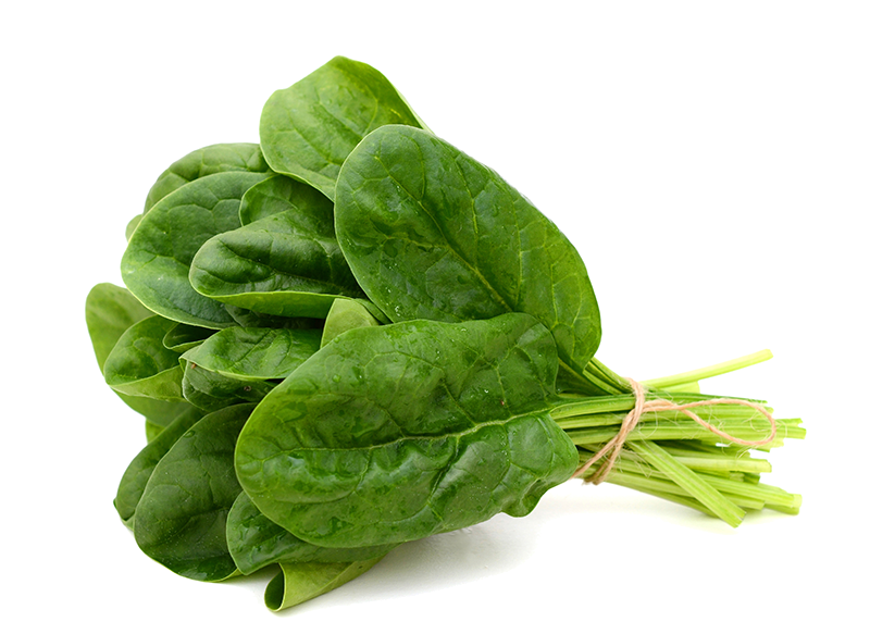 Herbs img