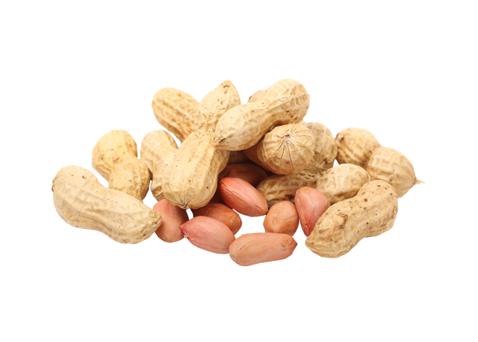 Fruit img