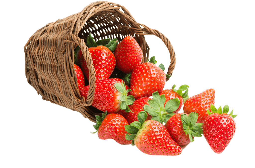 Fruit img
